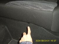 SUC40037.jpg