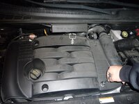 P1020318 - copia.jpg