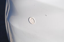 dsc0698h.jpg