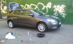 IMG_20072011_204119sinm_reducida.jpg
