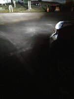 IMG_20170111_071950.jpg IMG_20170111_071950.jpg