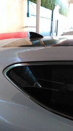 IMG_20170208_162307.jpg