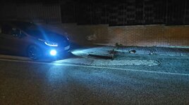 IMG-20170210-WA0019.jpg