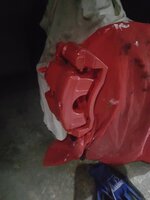 Pintado 3.jpg