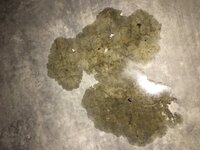 IMG_1059.JPG