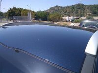 IMG_20170602_144954.jpg
