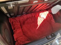 20170704_101136.jpg