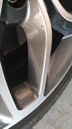 IMG_20170803_111346.jpg