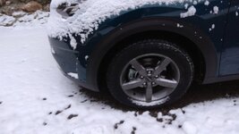 IMG_20171202_081210.jpg