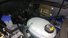 IMAG0323.jpg