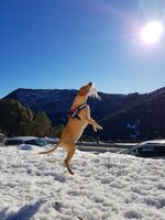 IMG-20180210-WA0017.jpg