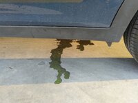 IMG_20180426_203036_088.jpg