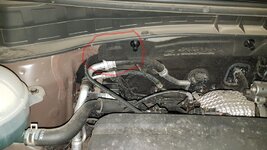20180523_204522.jpg