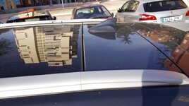 IMG_20170527_085059.jpg