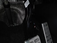 IMG_20180821_141252.jpg