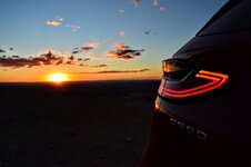 DSC_8597.JPG