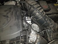 20181027_081538.jpg