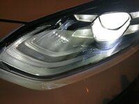 IMG_20181102_195806.jpg