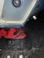 IMG_8851.jpg