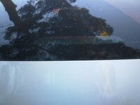 IMG_20181231_171918.jpg