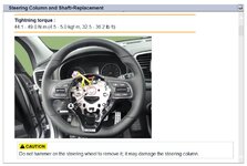 Volante.jpg
