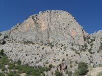 SAM_0552.jpg