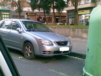 Cerato 2.jpg