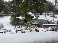 IMG-20130225-WA0000.jpg