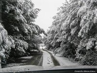 P2230173-2.jpg