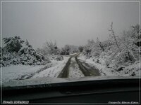P2230177-2.jpg