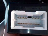 IMG_20130413_170303.jpg