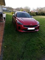 Stinger11.jpg