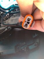 IMG_20190518_123641802.jpg