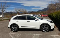 NIRO 1.jpg