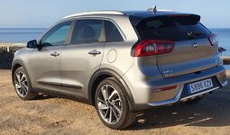 niro1.JPG