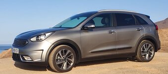 niro2.JPG