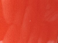 IMG_20191029_114617_1.jpg