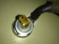 IMG_20200328_191558.jpg