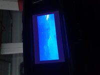 20200607_103010.jpg