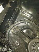IMG_20200704_180546.jpg