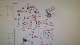 IMG-20200807-WA0005.jpg
