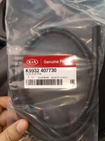 IMG_20200812_134129_415.jpg