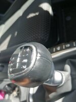 IMG_20200912_131753.jpg