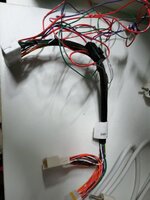 IMG_20201030_170531.jpg