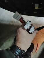 IMG_20201101_172056.jpg