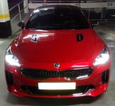 IMG_20201124_182647.jpg