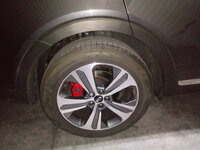 20201225_052048.jpg