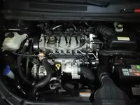 IMG_20210304_174601.jpg