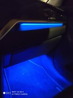 led niro.jpg