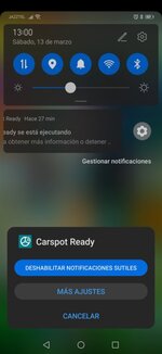 Screenshot_20210313_130004_com.huawei.android.launcher.jpg